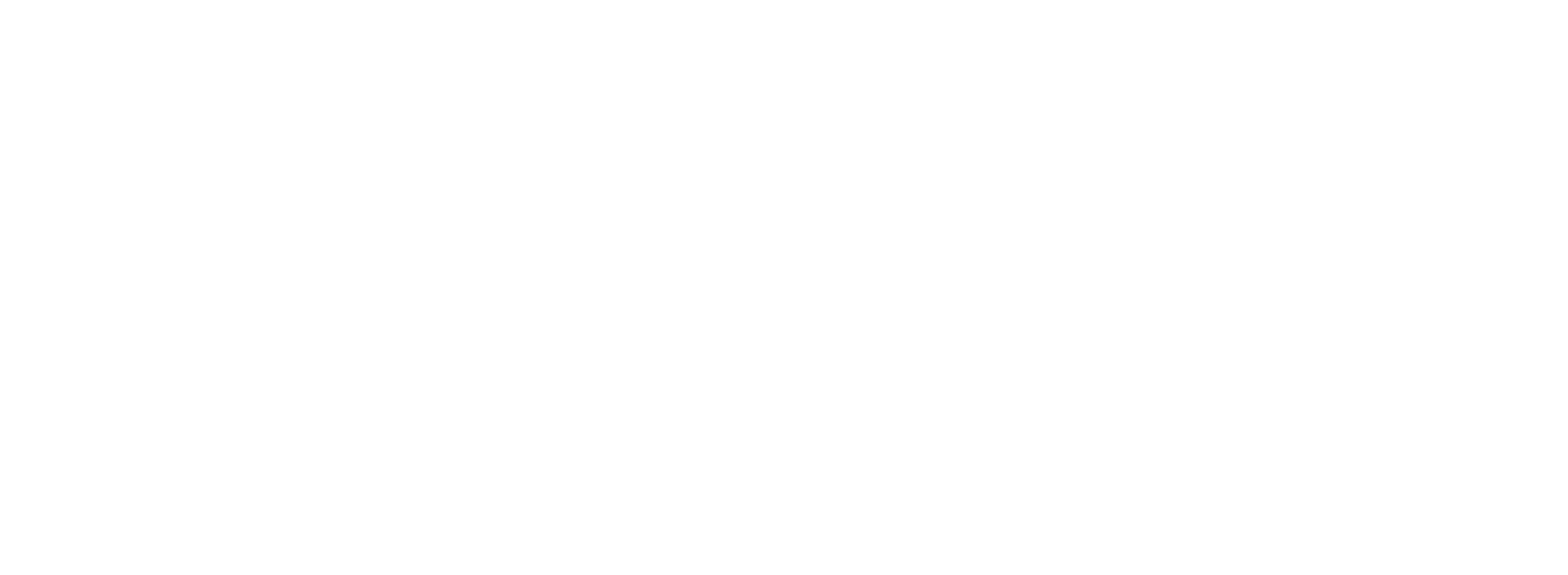 PRIMERA PLANA